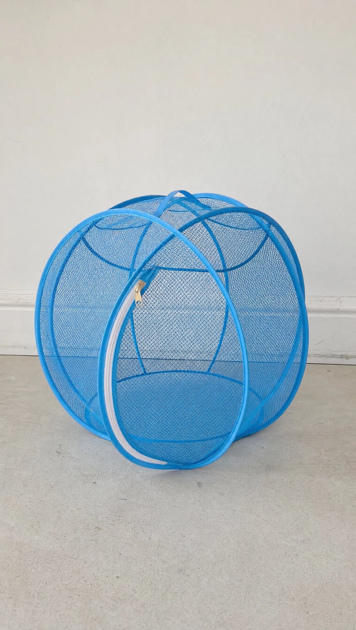 PurrDome Pop-Up Cat Play Pod BLUE COLOR